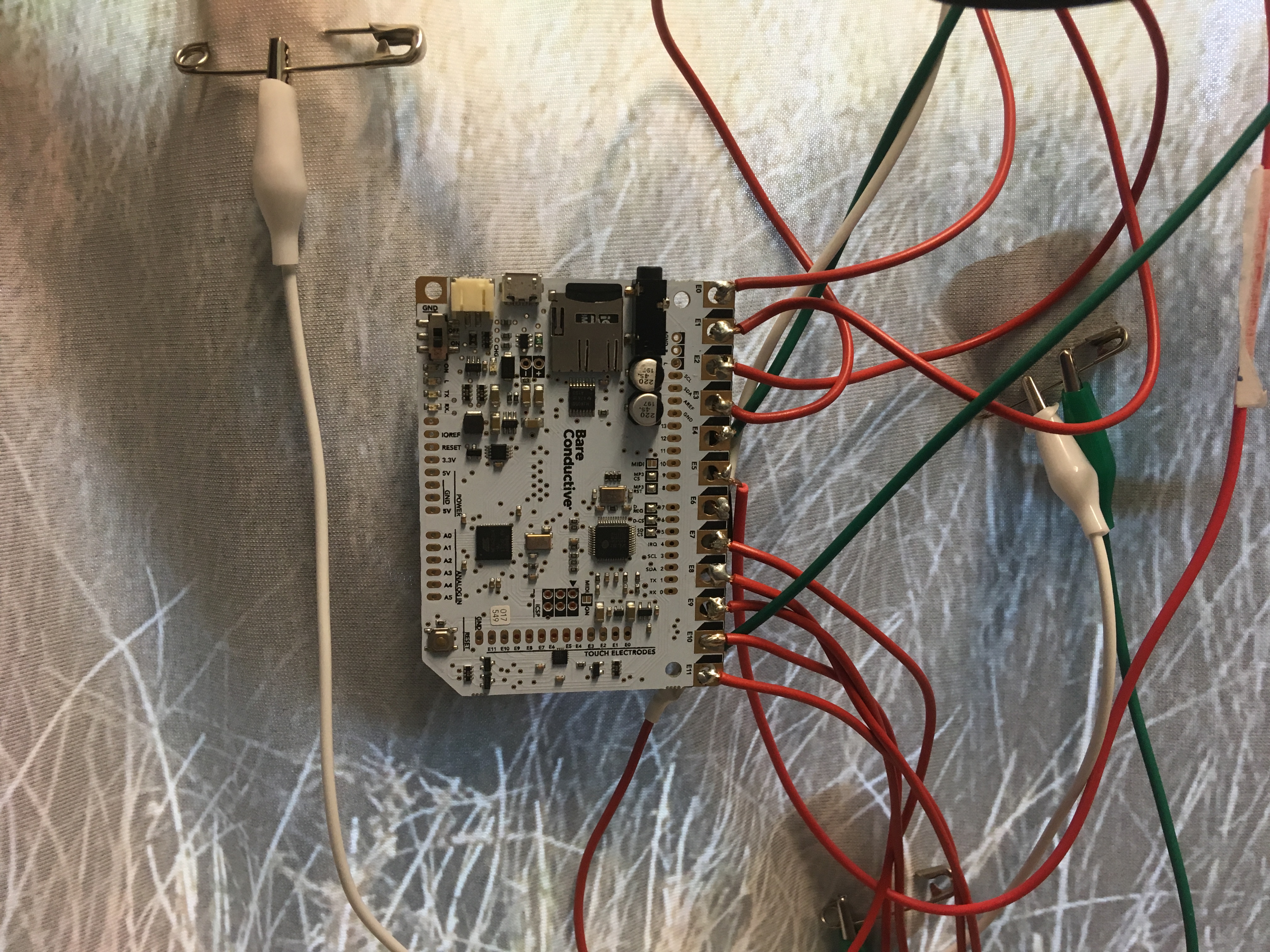 Bare Conductive Touch Board connected to bird prints